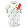 Maillot de Foot Guinea Exterieur 2024